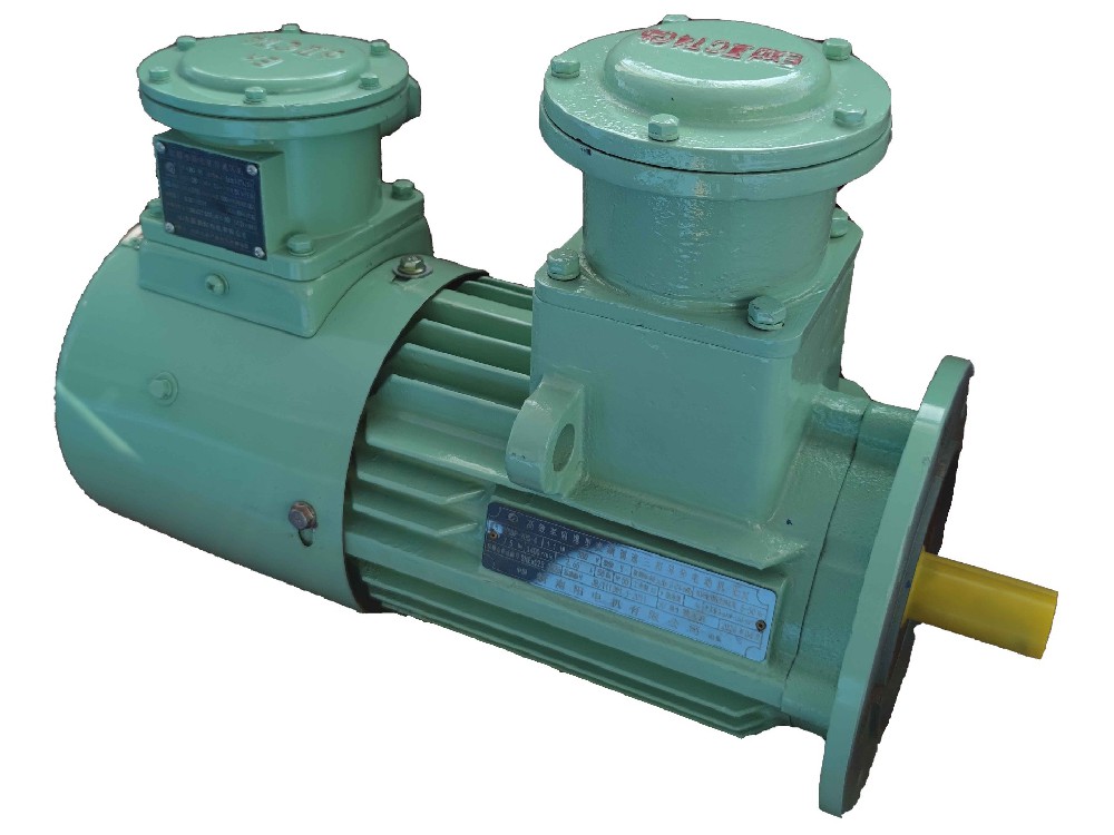 YBBP防爆變頻電機(jī)