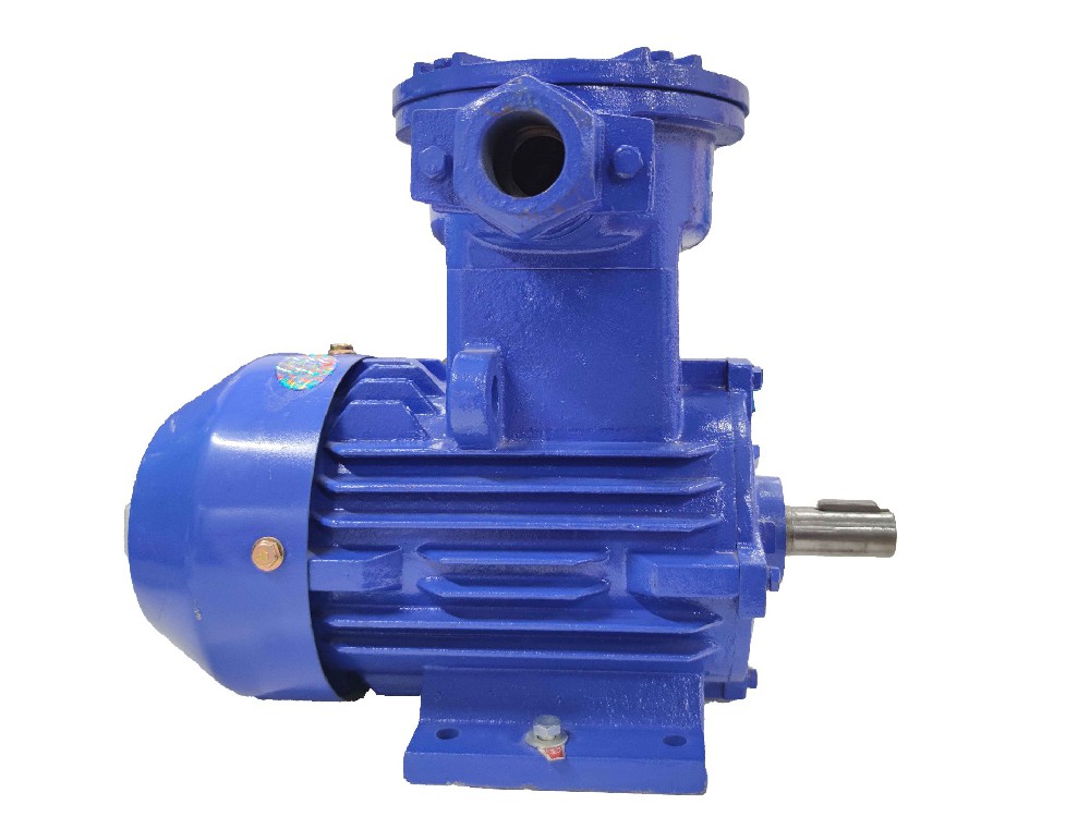 YBX4防爆電機(jī)